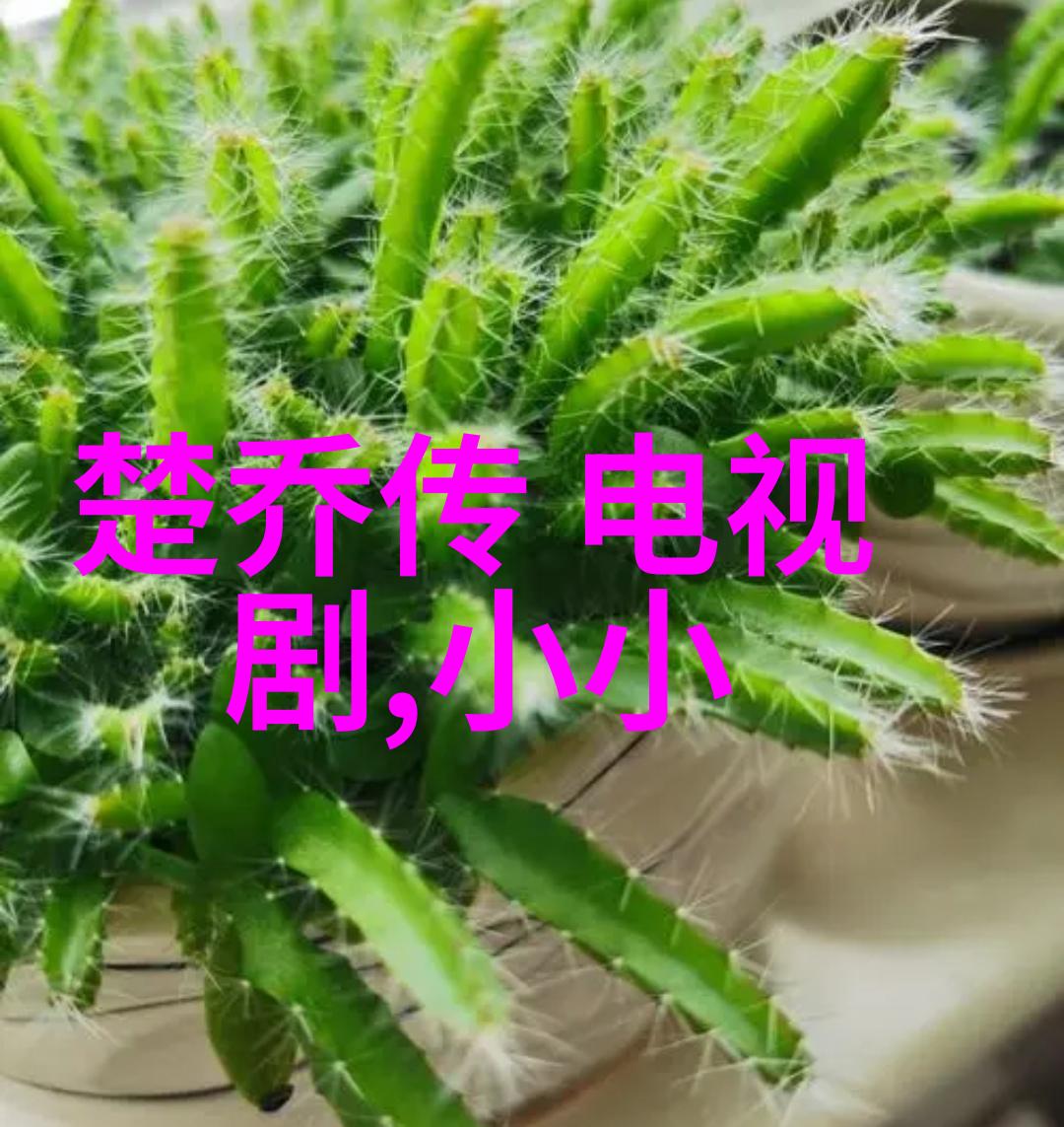 赵丽颖和冯绍峰为什么离的婚 - 爱情与现实之间的困惑与选择