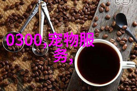 重生影后她如何跨越时空重拾影坛之巔