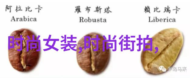 网声绘影ok168音乐网的音浪奇遇