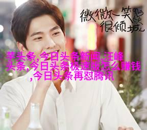 图3: 澳大利亚海豚版通勤卡片