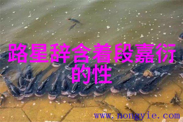 抖音2022年度十大网红盛名录