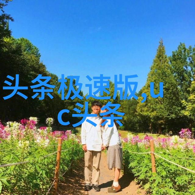 娱乐圈星光闪耀的梦想追逐