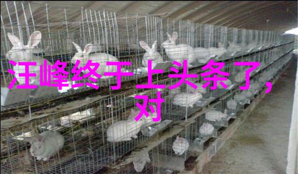 好看图片大全中的摄影作品如何鉴赏它们的艺术价值