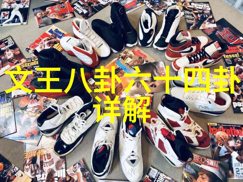娱乐圈的舞台我主宰星光下的传奇我织就