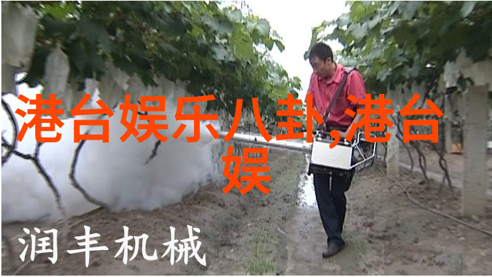 图片识物百度-智能时代的视觉助手深度解析图片识物技术与百度AI的实践应用