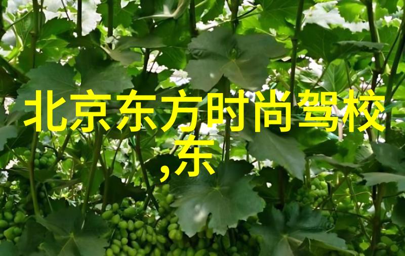 头像好看的图片我眼中的美丽瞬间一张让人回味无穷的照片故事
