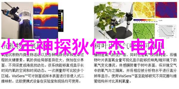檀健次亮相欢乐合家笑声里融化的艺术与真诚