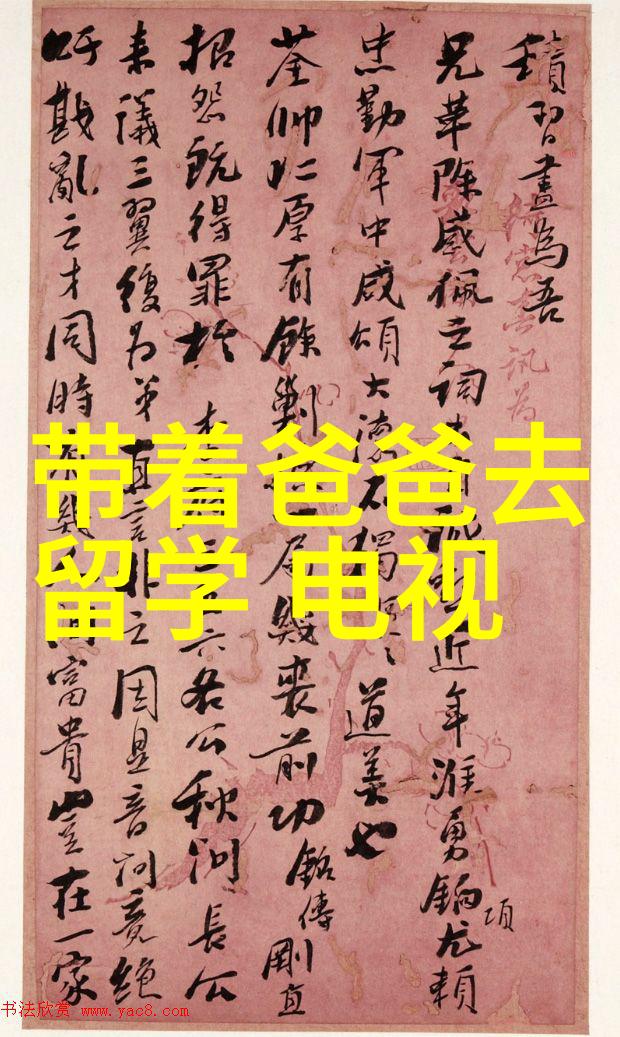 海岩大戏拯救热拍 董璇进入角色难自拔