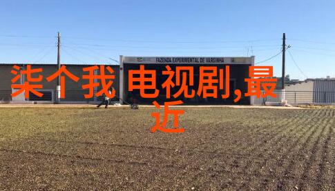 车载绿意多肉植物与汽车的和谐共舞