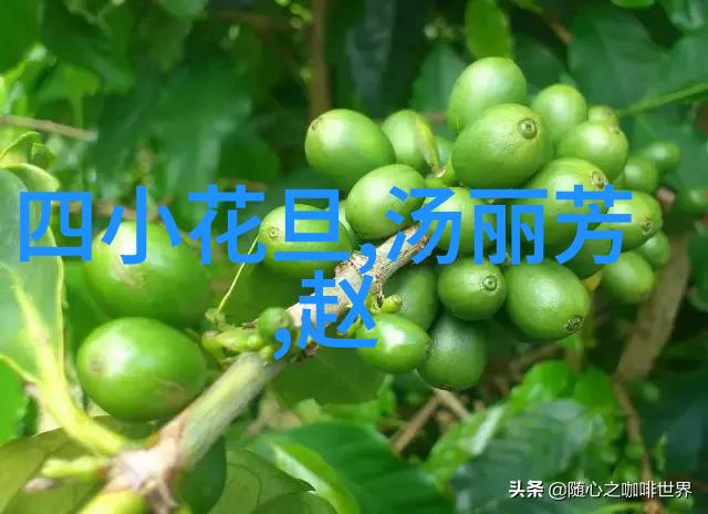 网红算是明星吗 - 网络红人与传统明星的差异与相似