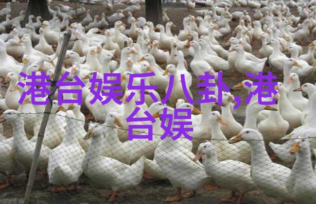 日本AV女王的银幕征服