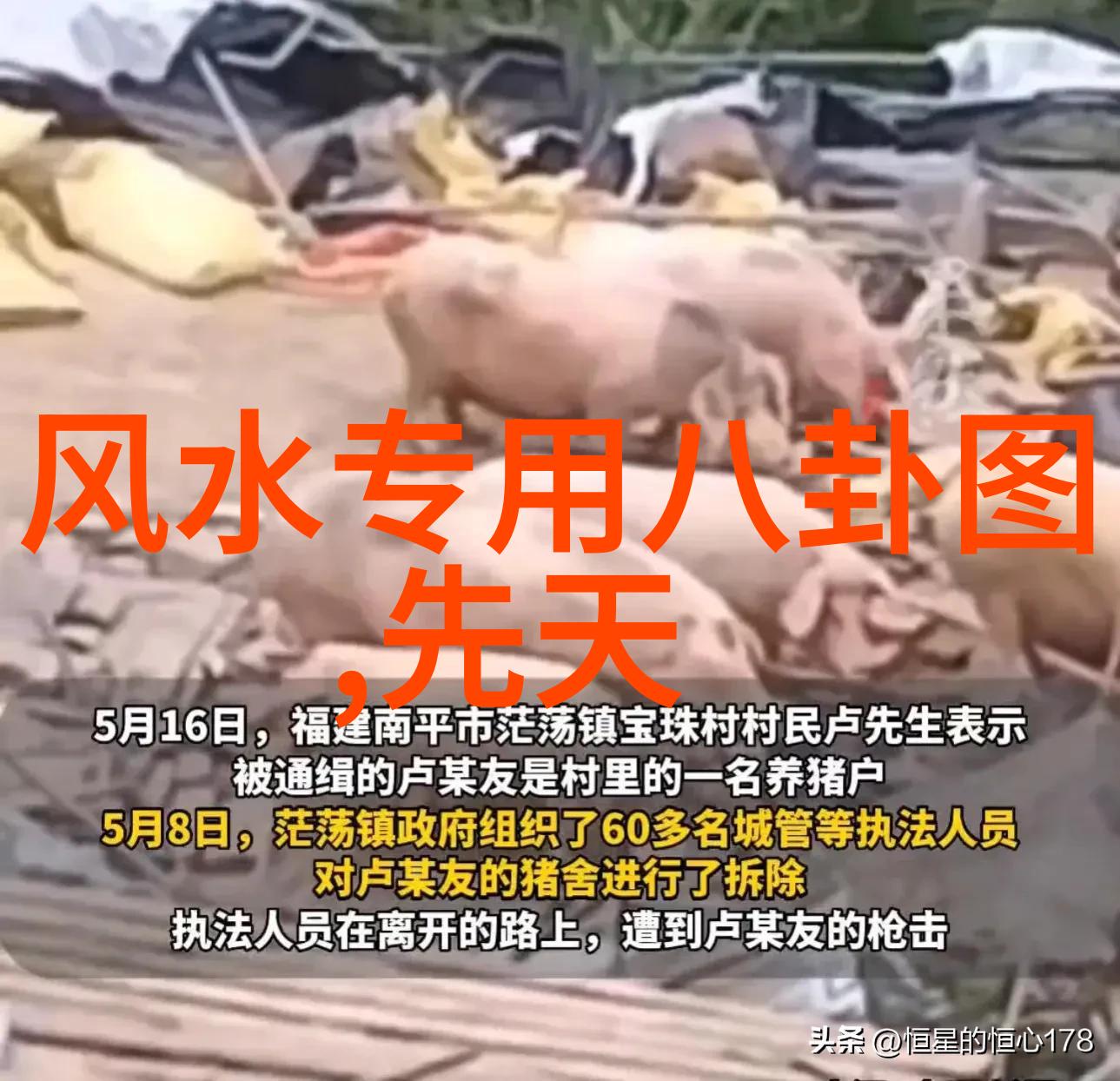 舒淇一组黑白写真曝光时尚偶像的静谧瞬间