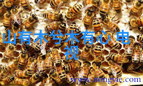 打造完美比例如何通过角度和立体感提升照片吸引力