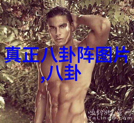 我眼中的最全免费音乐app听君一曲揭秘那些让人爱不释手的无损音享