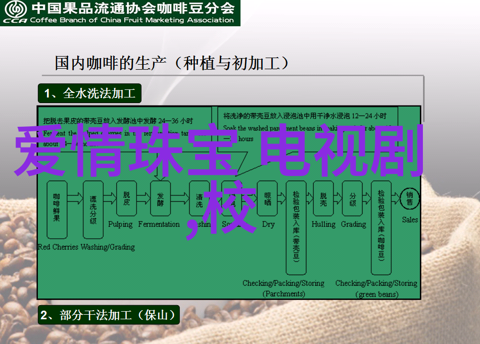 20岁的黄晓明庆祝香港回归我也要为这份历史加油