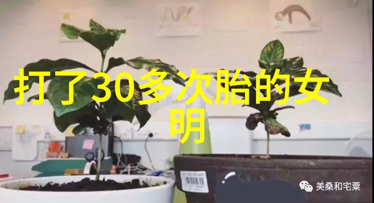 星光下的梦想刘亦菲刘诗诗杨幂杨颖的璀璨旅程