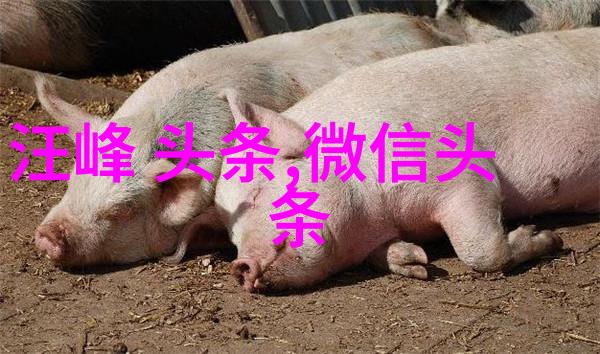 沉醉在旋律之中探索好听的纯音乐世界