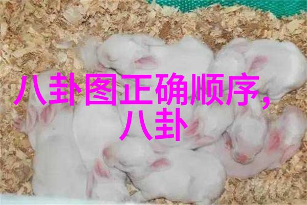 春光映照的翩跹舞姿时尚界的风景线探秘美女写真背后的艺术与魅力