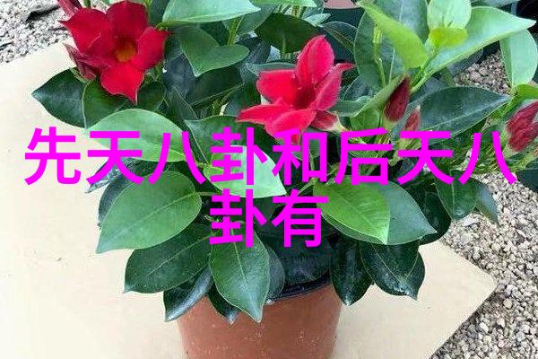 情欲写真我与你的秘密故事