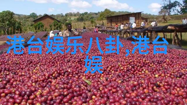 矢量交点探索向量垂直的数学奥秘与应用艺术