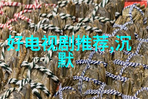 历史上的五行八卦运转图传统与现代的对话