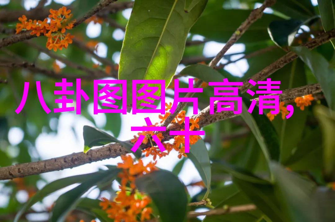 如何拍出令人难以抗拒的诱惑照片