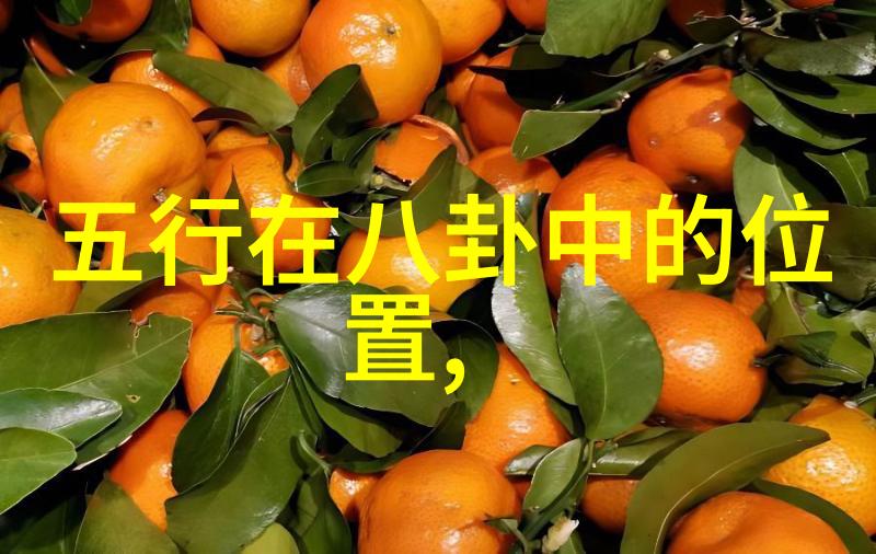 百年不落幕自主飞翔独立的光辉历程