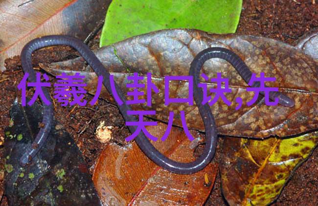 镜头下的日本探索日本写真艺术的魅力与深度