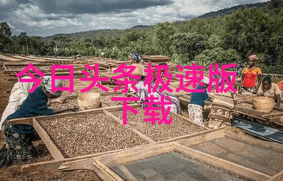 春日绘卷新世纪的唯美视觉语言