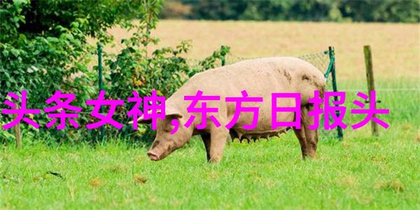 艺术照背后的祼探索个人写真的边界与深度