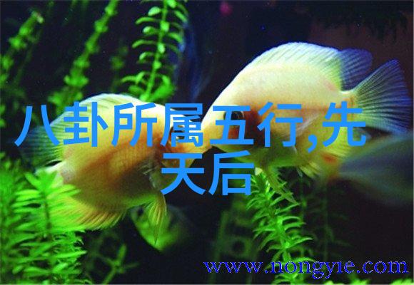 感触人心的生活短句我眼中的温暖瞬间