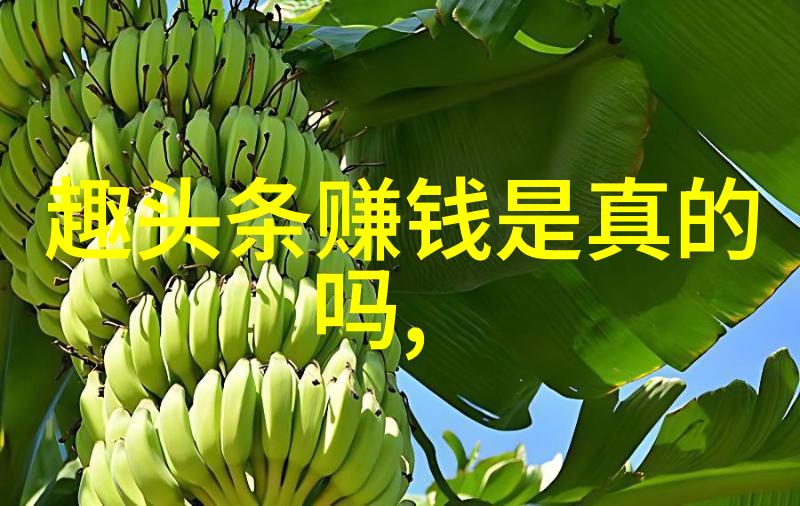 香港娱乐圈的重生后宫之谜