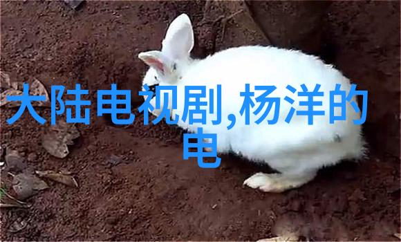 韩国电影夫妻我们的爱情故事跟随韩剧里的恩爱走