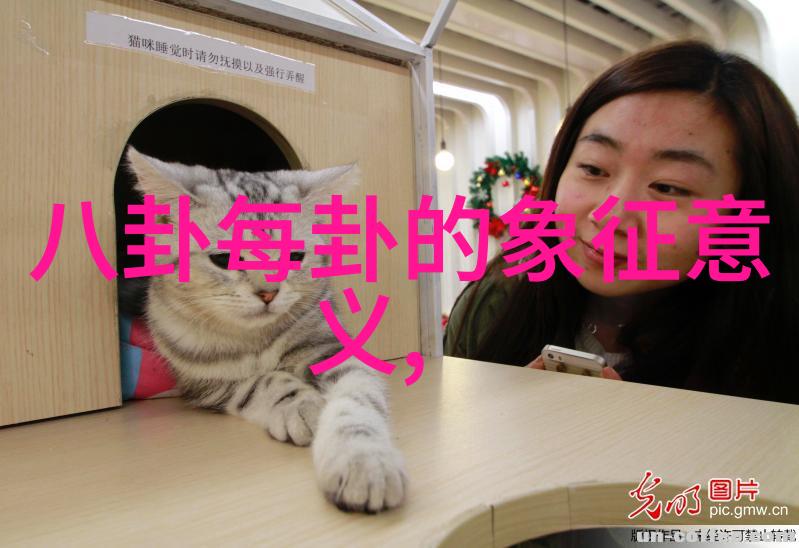 女人佩戴八卦的好处活力与智慧的象征