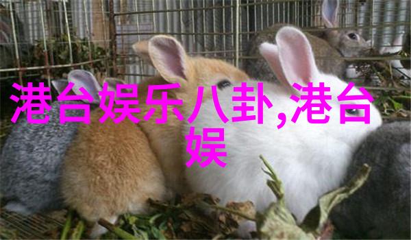 暗示一词在这个语境中承载着怎样的力量和意义
