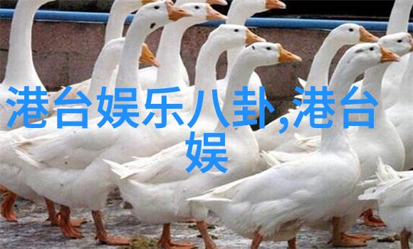 实拍不虚构展示生活真相现代写真风格探讨