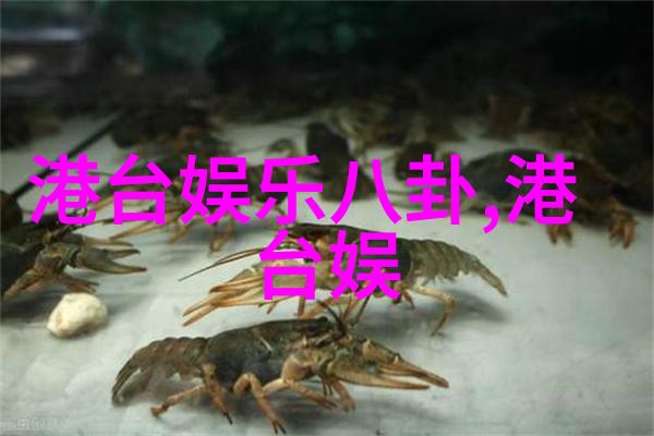 天堂影视梦幻世界中的电影与电视剧
