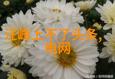 春日佳音摄影师的视觉诗篇探索美的边界一张张映射心灵的头像图像