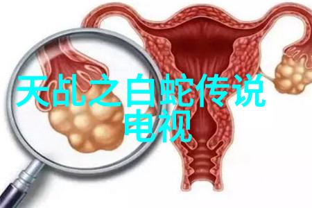 坚如磐石电影免费观看完整版2023我看了这部电影真的觉得它就像一块坚不可摧的磐石一样不仅震撼人心而且