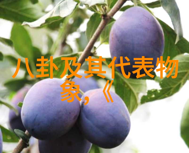 四虎影视解读其在当代网络文化中的角色与影响