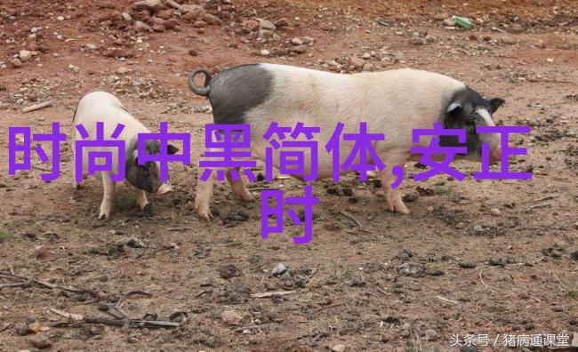 恋爱预约我是娱乐圈的引路星带你走进爱情的奇幻世界