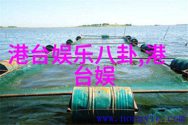 易经八卦解读符号与意义的深度探究