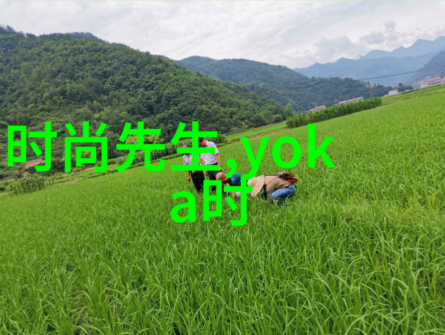 摄像机眼中的大世界解析大自然风景图片中的细节与深度