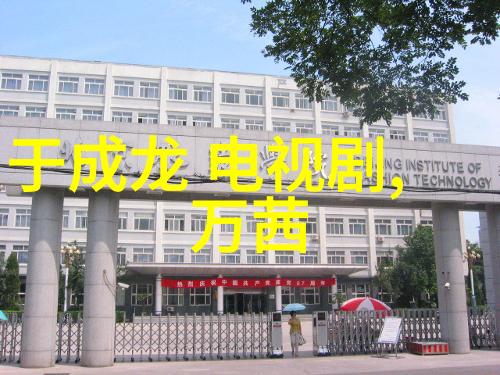 误入综艺镜头后我火了从默默无闻到 Overnight Sensation 的奇妙旅程