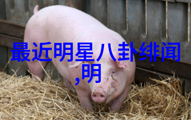 在校园风格综艺中时代少年团有何表现