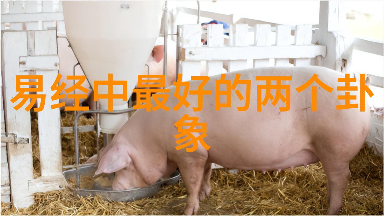 揭秘先天八卦图与后天八卦图的差异古老占筮术的两大分支