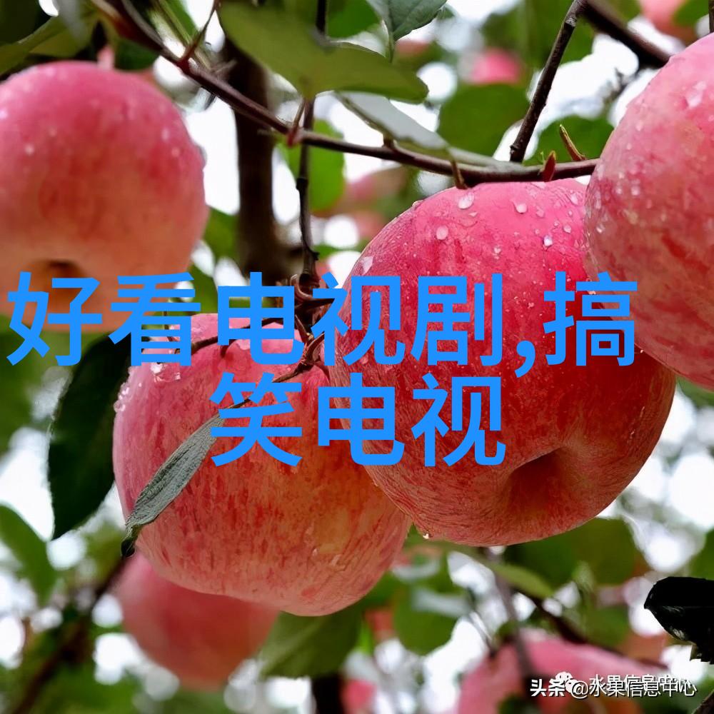 亚洲写真风景探索文化多元的镜头之旅