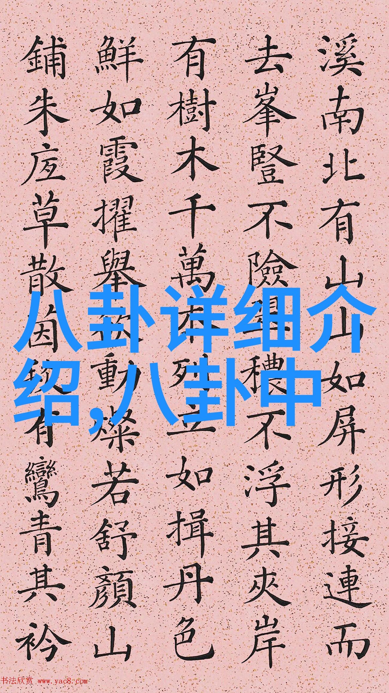 一路朝阳定档央八王阳李兰迪主演女性剧若真实必爆款台湾最新消息高科技手机新品今日上市预计将引领市场潮流