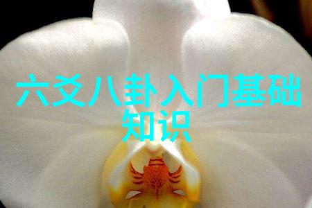 娱乐圈大变革国家政策引领未来发展趋势