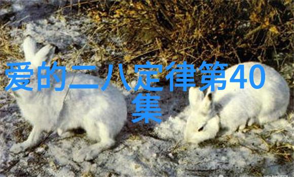 《爱的二八定律：40集大结局免费观赏，情感纠葛终揭晓！》